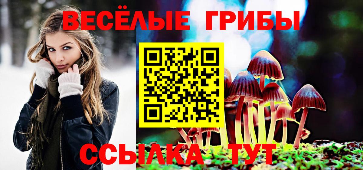 магазин продажи   Псилоцибиновые грибы Psilocybe  Вход с VPN  Гусев 